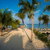165--Cozumel_Aug_2017-Beach.png
