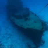 165--Cozumel_Aug_2017-LeavingWreck.png