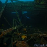 165--Puerto_Galera_June_2017-AlmaJaneShipwreck.png