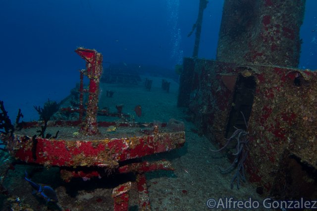 640--Cozumel_Aug_2017-WreckDeck.png