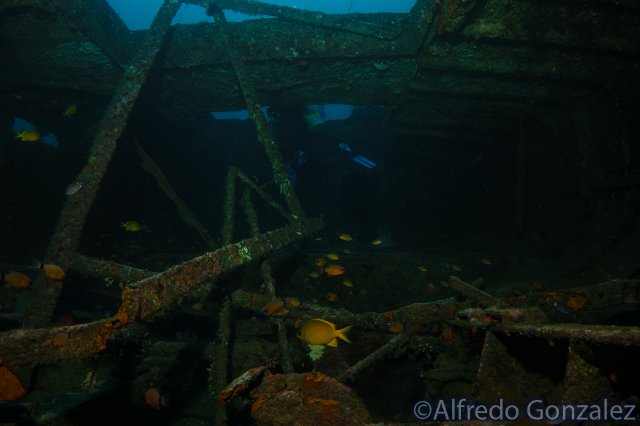 640--Puerto_Galera_June_2017-AlmaJaneShipwreck.png